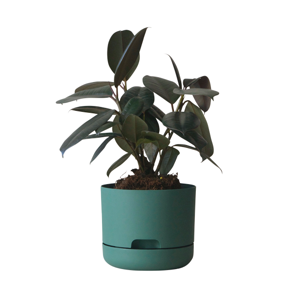 Selfwatering Plant Pots 250mm